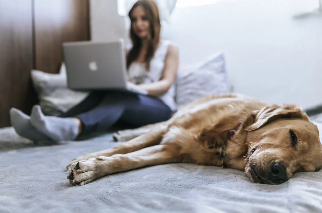 multi functional smart bed